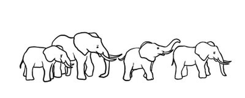 800x322 Simple Elephant Designs Tattoo