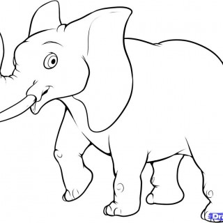 320x320 Tag For Drawings Of Animals Easy How To Draw An Easy Elephant