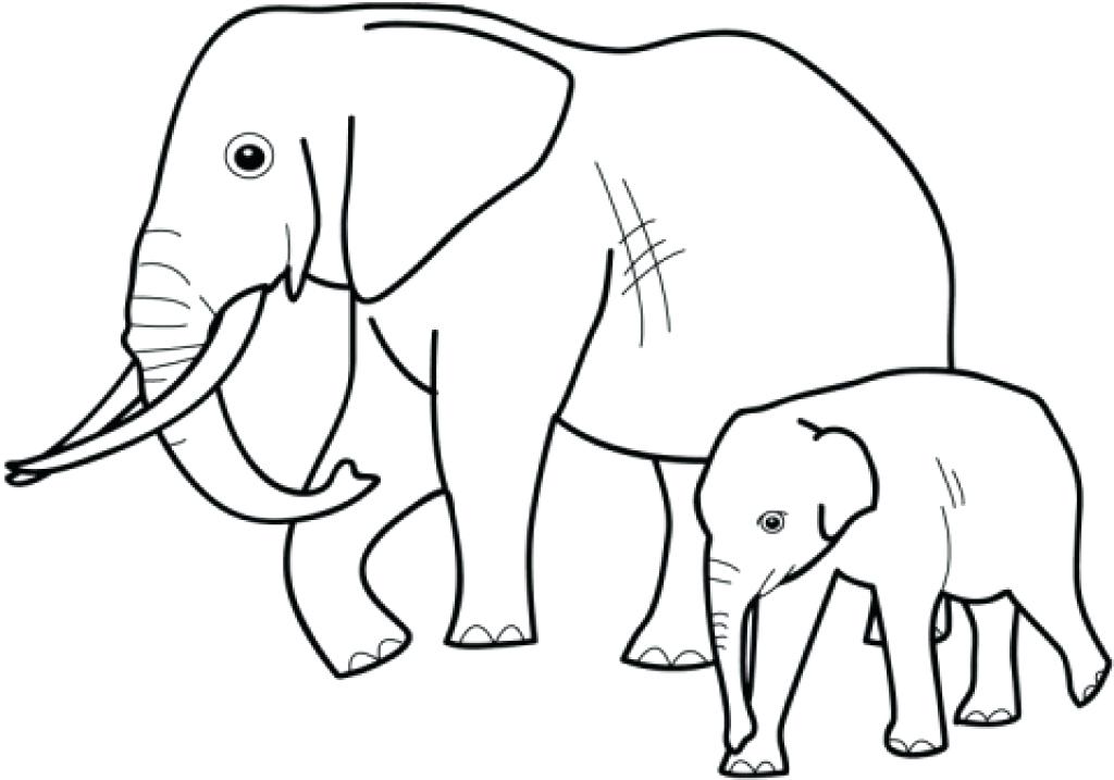 1024x717 Elephant Coloring Pages Printable Best Images On For Kids Best