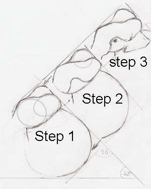 300x374 How To Draw A Baby Elephant Elephant Calf In Water Elephant Water Hole