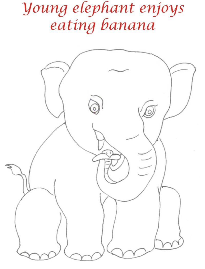 800x1050 Young Elephant Enjoys Banana Coloring Page For Kids