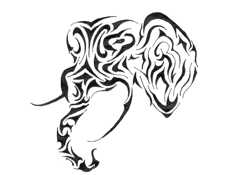 800x592 Tribal Elephant Head Tattoo Sample