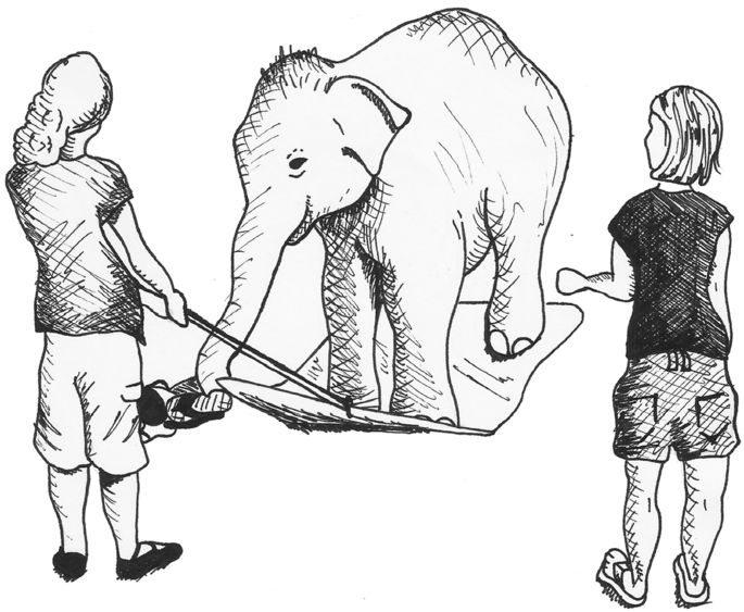 685x563 Elephants Know When Their Bodiesre Obstacles To Success In