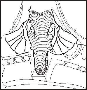 298x307 Nabataean Elephants