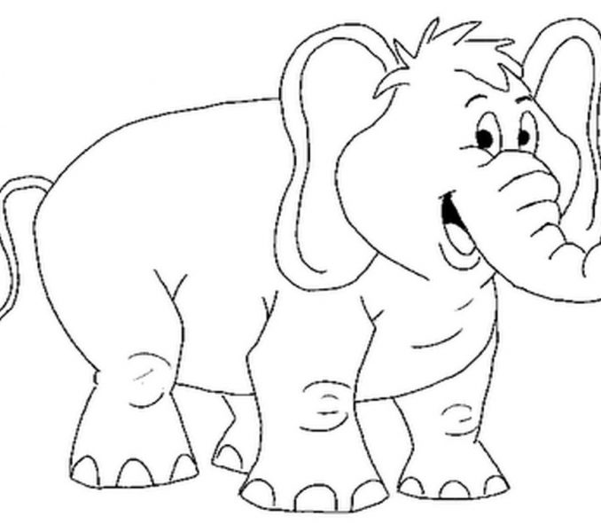 678x600 Elephant Colouring Pages Kids Coloring