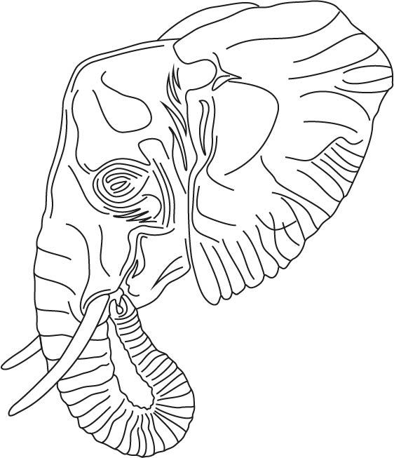 562x653 Pen Tool Hashtag Images On Tumblr