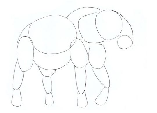 540x390 How To Draw An Elephant