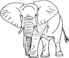 236x198 Step By Step How To Draw An Elephant Head. Art It All Out