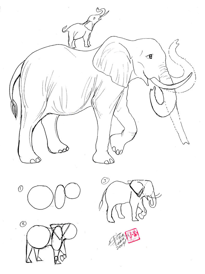 800x1068 Draw An Elephant By Diana Huang