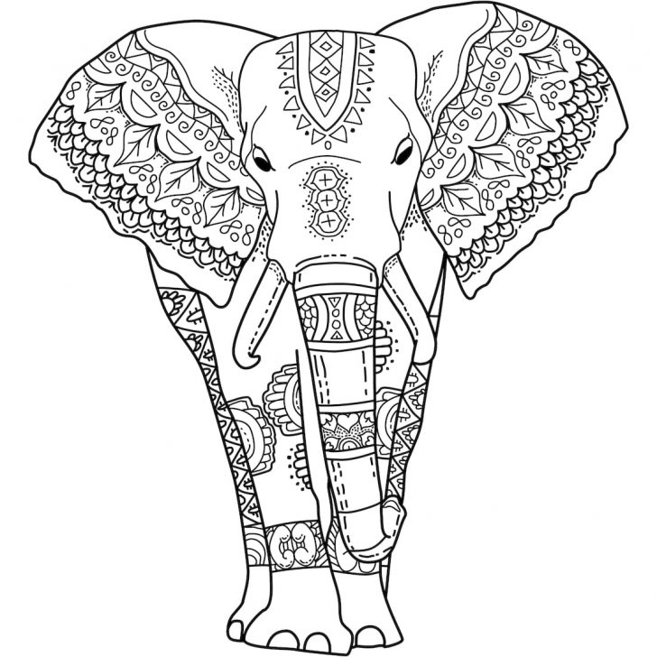 728x728 Elephant Coloring Page With Wallpaper Free