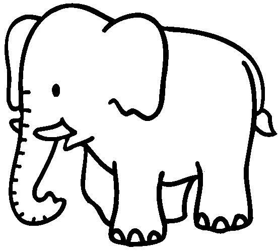 556x500 Elephant Coloring Pages For Kids