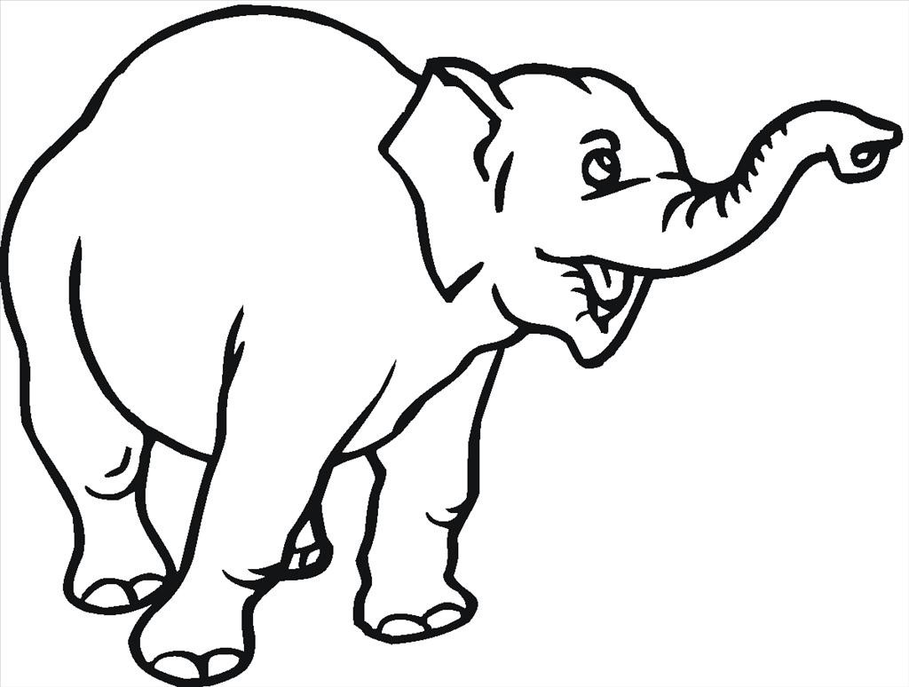1024x774 Good Elephant Coloring Page Picture Unknown Resolutions High