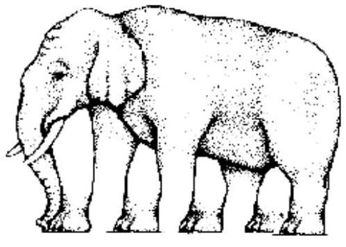 499x356 Amazing Giraffe Print Background Optical Illusions Elephant Legs