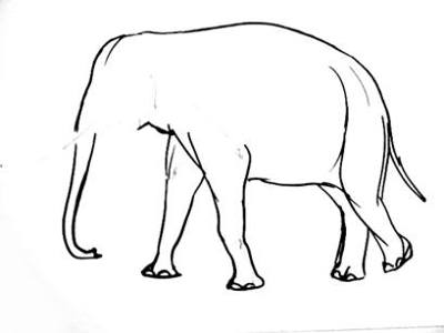 400x300 How To Draw An Elephant