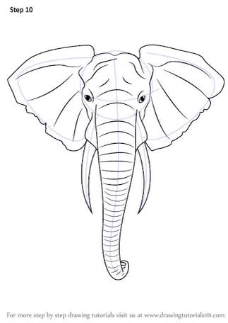 323x456 Elephant Face Tattoo Want Tats Elephant Face
