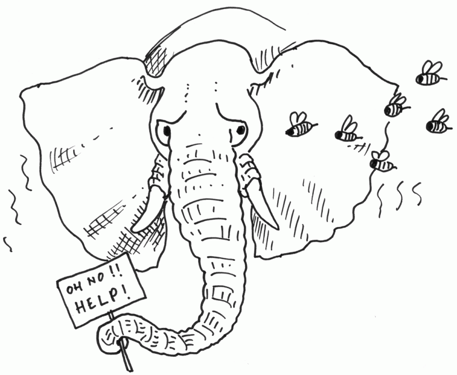 900x739 Elephant Can They Avoid The Bees