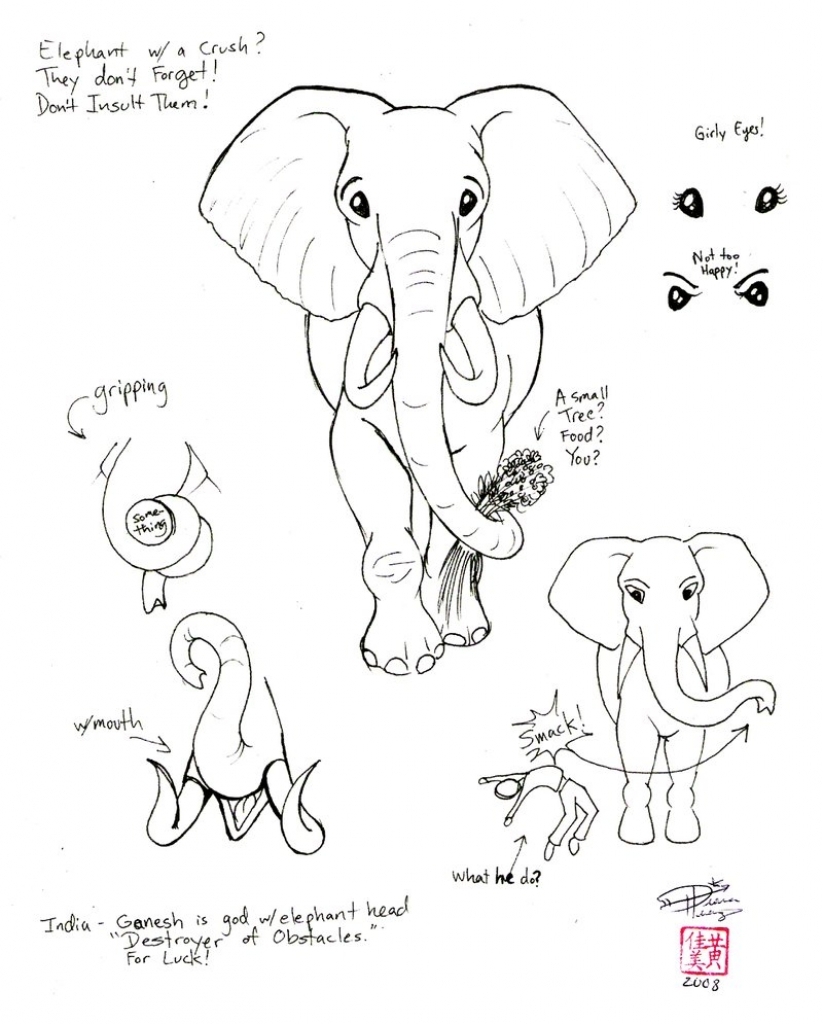 823x1024 How To Draw Elephant How To Draw Elephant Correctly In Photoshop