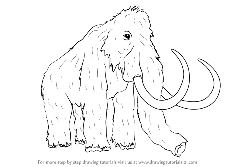 800x566 Learn How To Draw A Woolly Mammoth (Other Animals) Step By Step