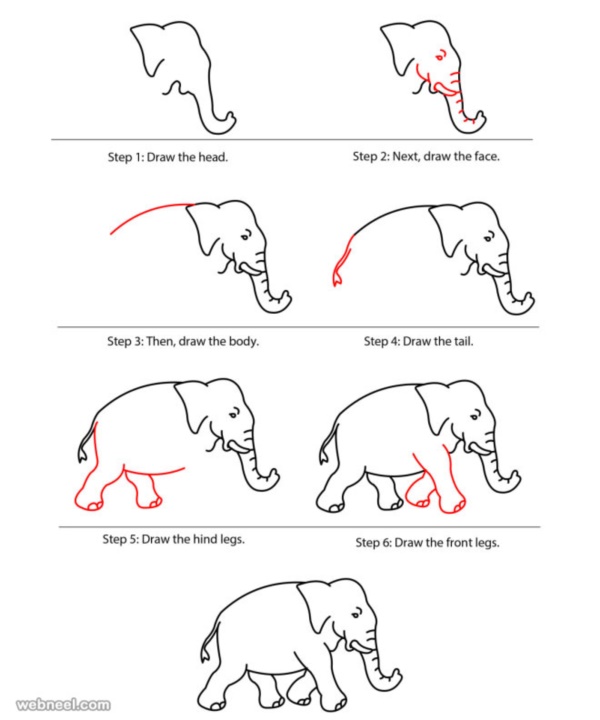 600x720 How To Draw Easy Animals Step By Step Image Guide