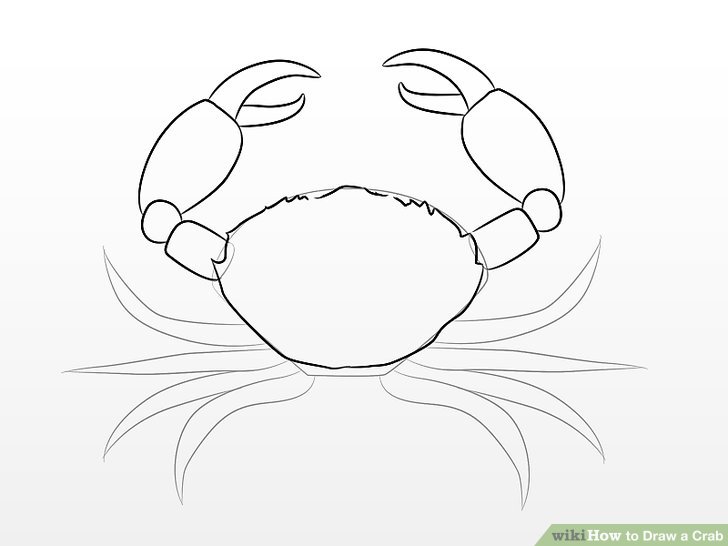 728x546 How To Draw A Crab 10 Steps (With Pictures)