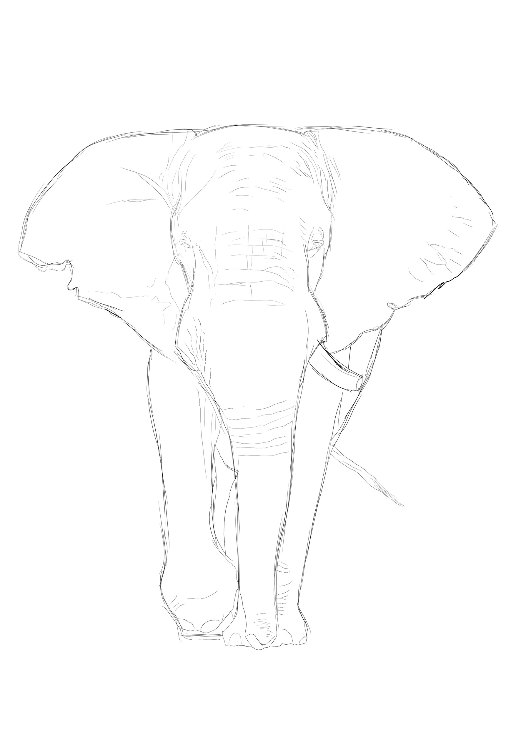 1754x2481 Art Stuart Hogton