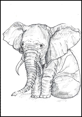 342x486 Pen Sketch Makutiro