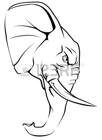 328x450 Elephant Head Stock Photos. Royalty Free Business Images