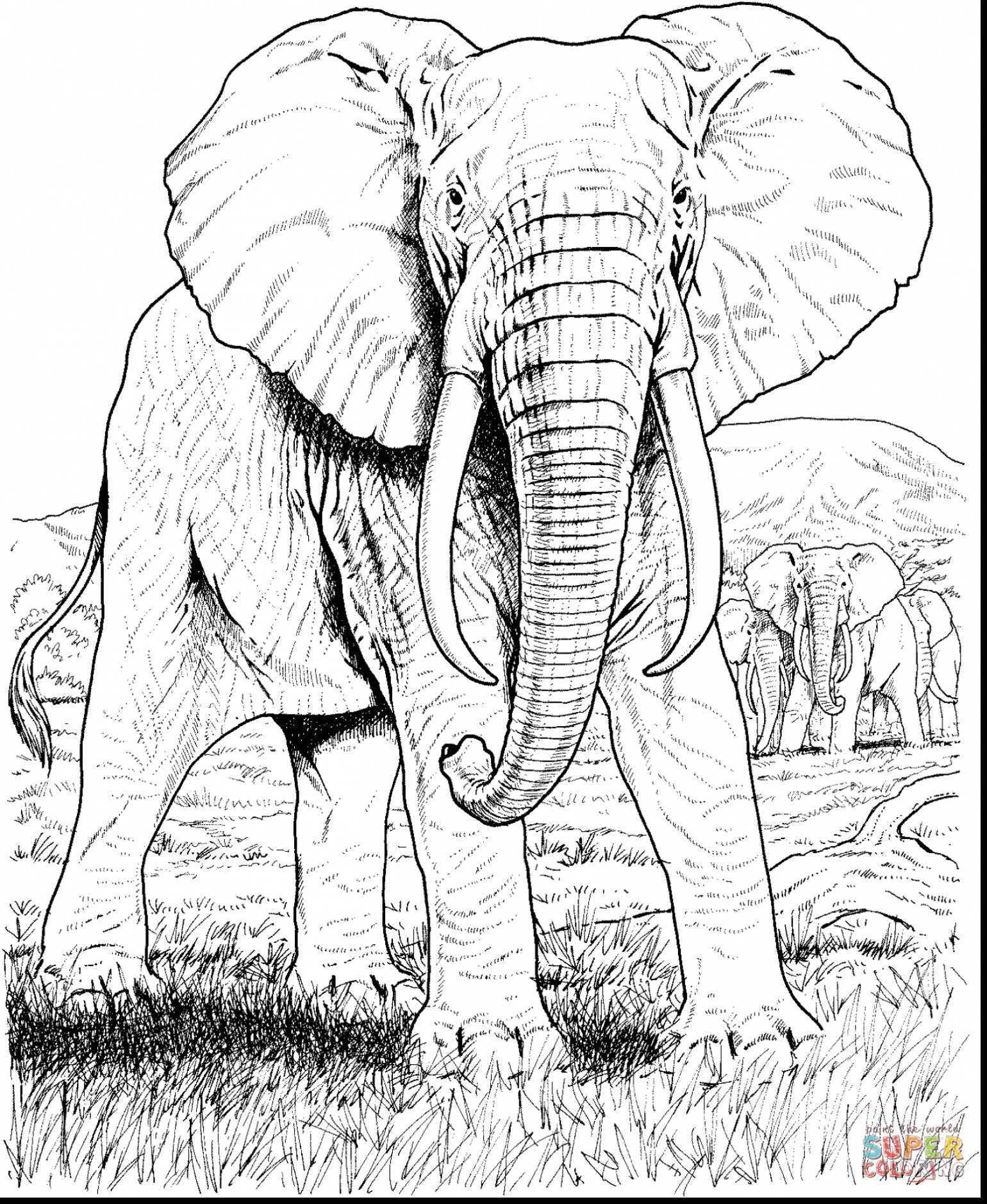 1540x1877 Outstanding Elephant Face Drawing With Africa Coloring Pages