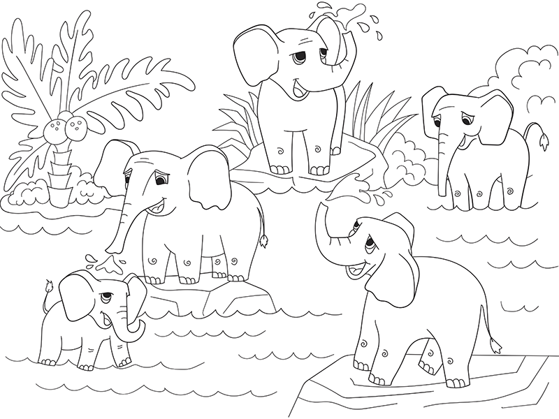 800x600 Elephant Family Playing Free Coloring Page Animals, Kids