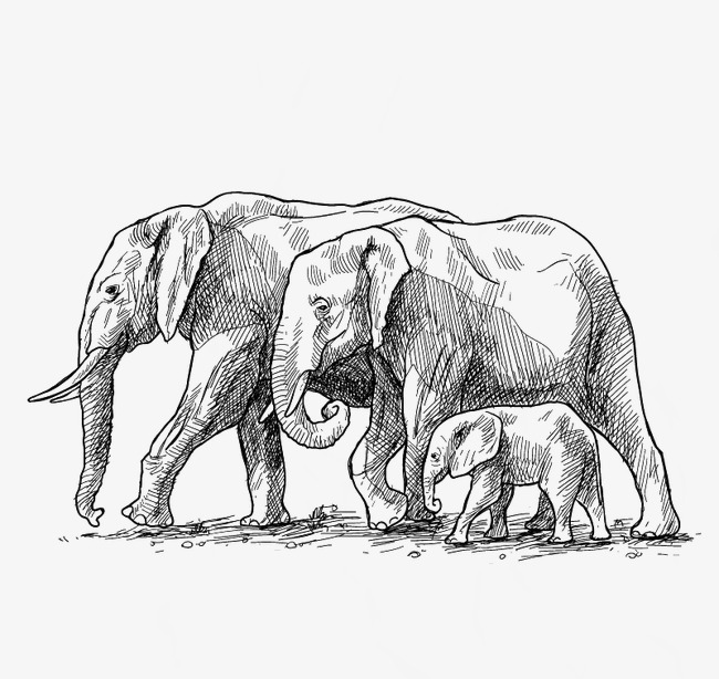 650x614 Elephant Family Of Three, Hand Painted, Elephant, Black Png
