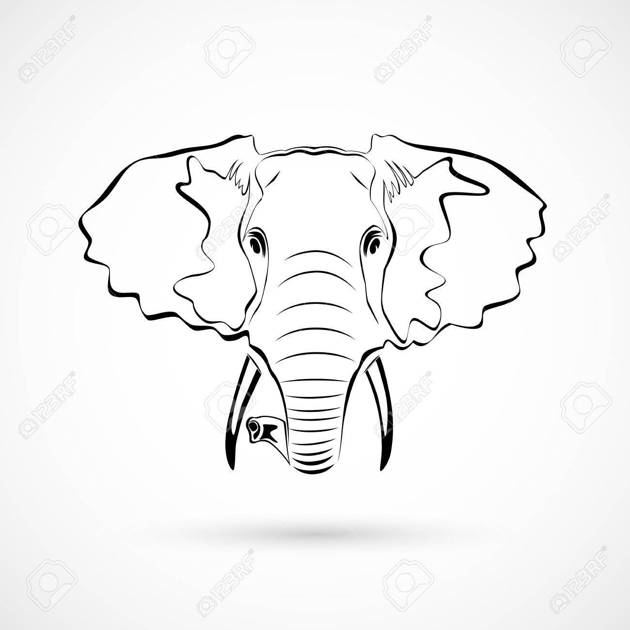 1300x1300 Elephant Head Royalty Free Cliparts, Vectors, And Stock