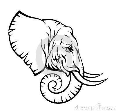 400x385 Elephant Head By Skalapendra, Via Dreamstime Elephants