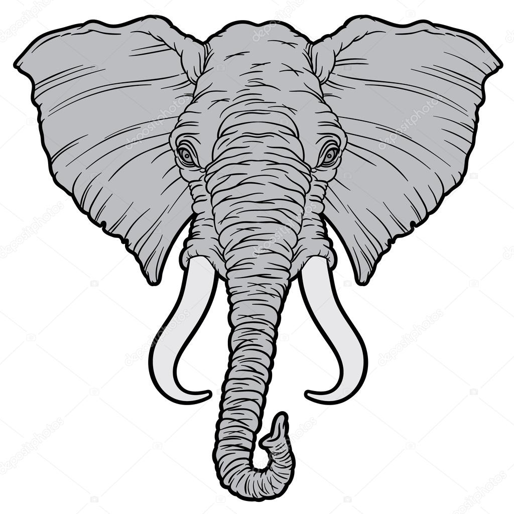 1024x1024 Cartoon African Elephant Head Stock Vector Annasuchkova