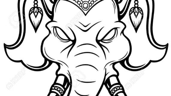 570x320 Elephant Head Drawing Elephant Head Images Stock Pictures Royalty