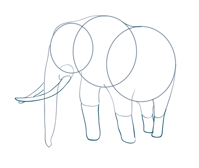 400x338 How To Draw An Elephant Sketchbook Challenge 4