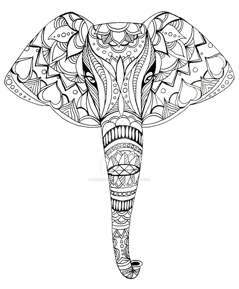 813x983 Patterned Elephant Ink Drawing By Amandaruthart