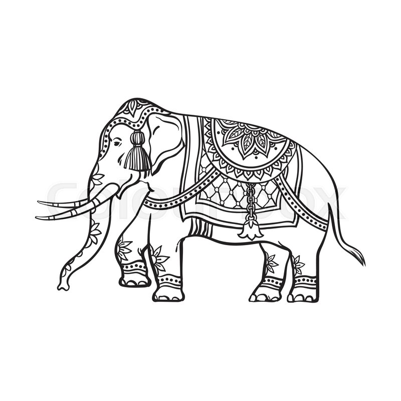 800x800 Vector Sketch Cartoon Indian Decorated Oriental Elephant. Isolated