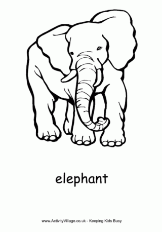 320x458 Elephants