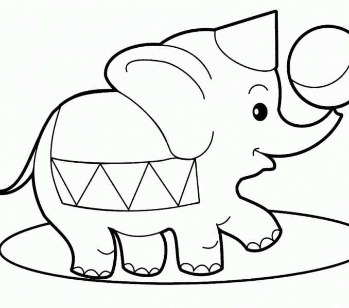 678x600 Color Animal Pictures Kids Coloring Page