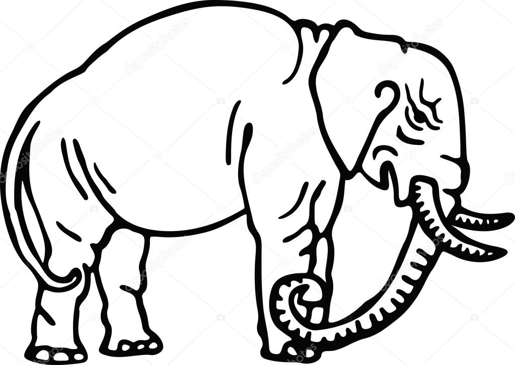 1023x725 Drawing Of A Wild Elephant Stock Vector Prawny