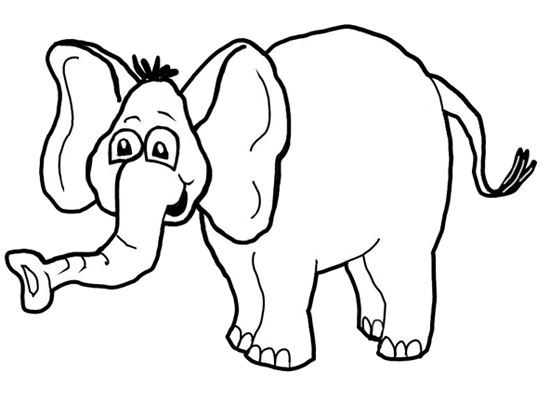 550x399 How To Draw Cartoon Elephants African Animals Step By Step