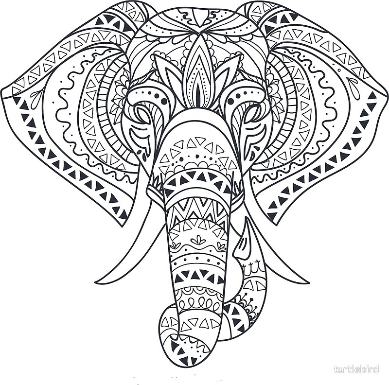 Elephant Outline Drawing at GetDrawings | Free download