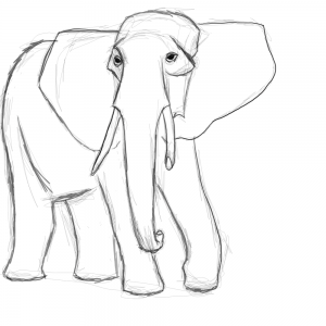 300x300 Adult Elephant Outline Image Elephant Outline Photo. Elephant