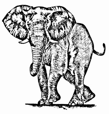 381x400 27 Free Wood Burning Pattern Ideas Guide Patterns