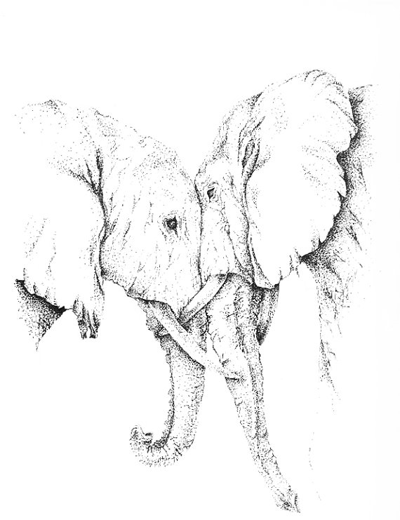 570x741 Items Similar To Elephant Love. Pen Amp Ink Illustration On Etsy