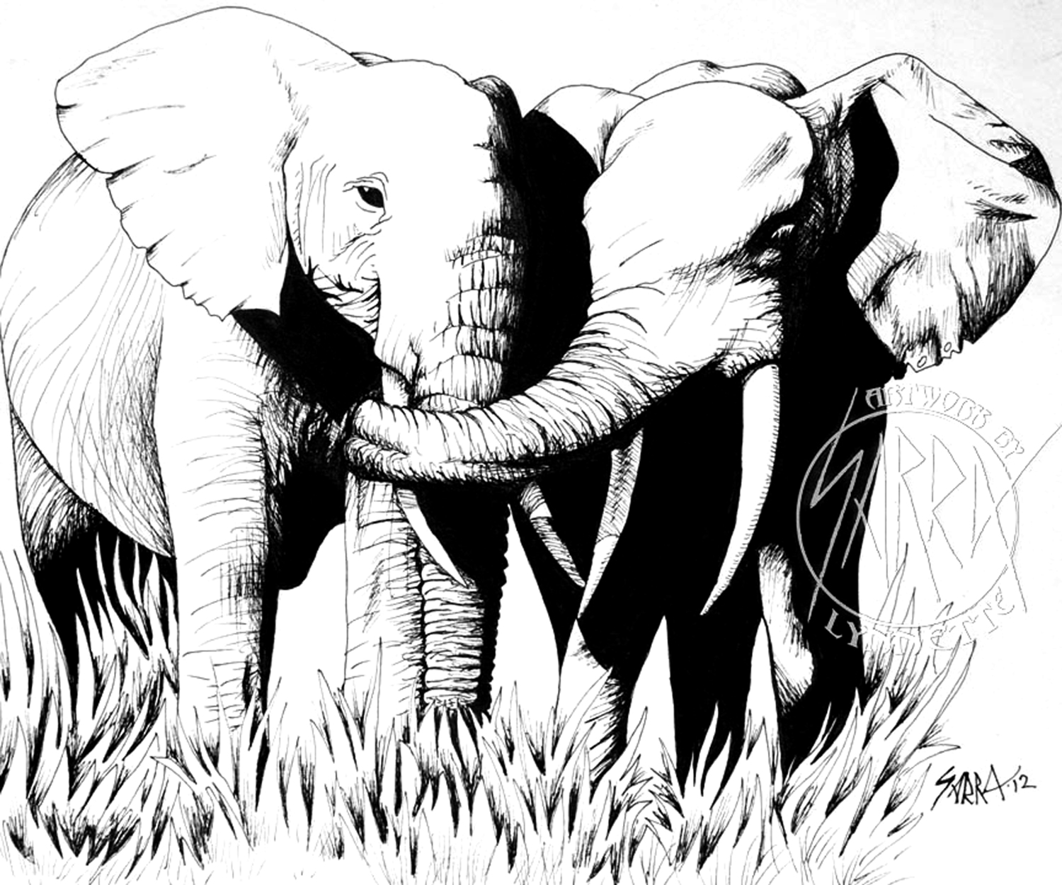 1500x1250 Pen Drawing Art Of Elephants Hugging By Sarra Lynnette Artwork