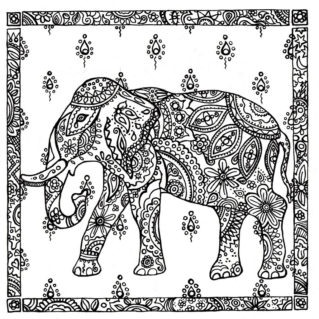 1024x1023 The World's Best Photos Of Elephant And Pen