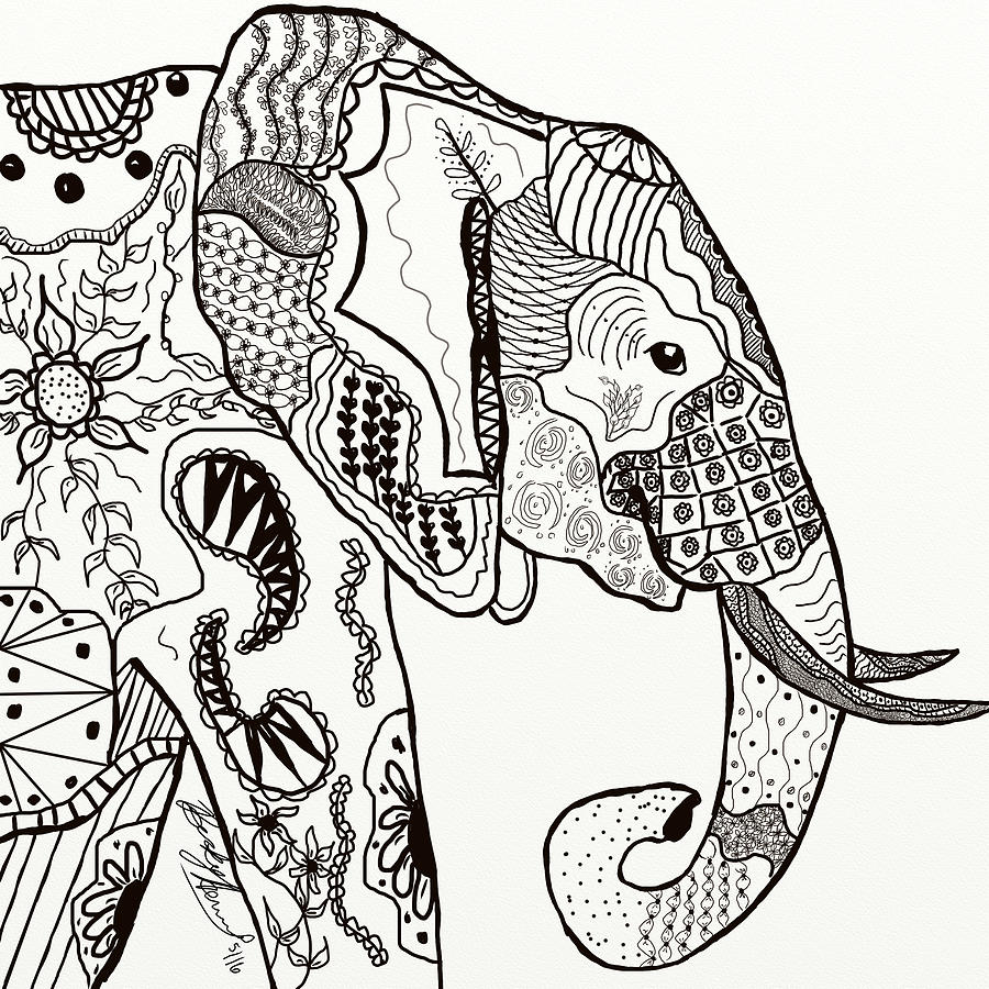 900x900 Zentangle Elephant Drawing By Becky Herrera