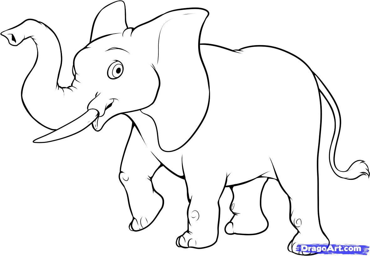 1182x817 Elephent Pencil Drawing Step By Step How To Draw An Easy Elephant