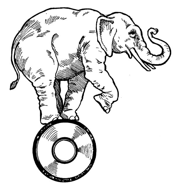 600x642 Pencil Sketch Circus Elephant Coloring Pages Best Place To Color